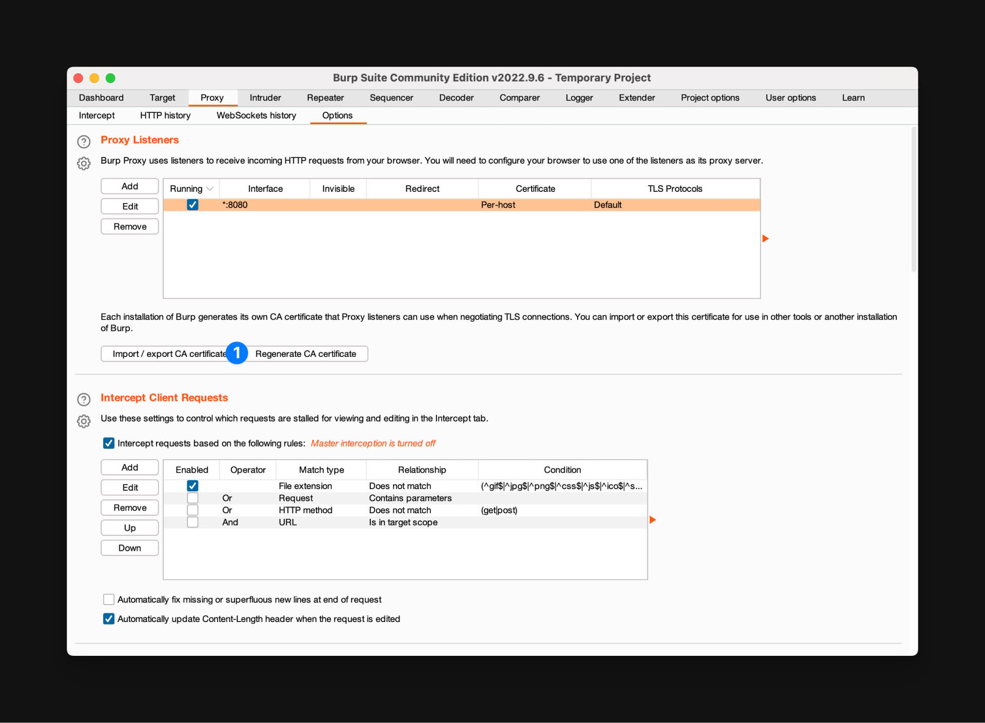 Burp Suite 5