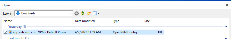 Select the downloaded OVPN file